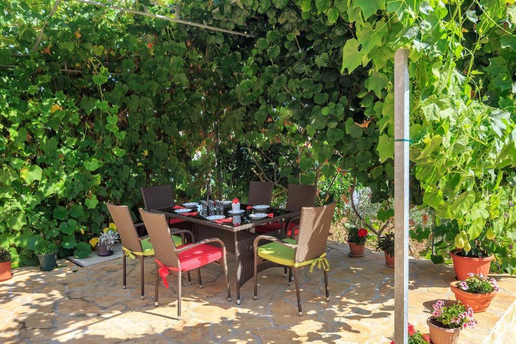 Apartment Zeljana Slatine Ngoại thất bức ảnh